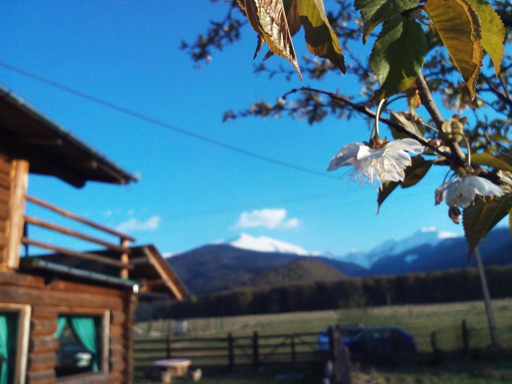 Casa Muntelui - Sambata Pension Sîmbăta de Sus Buitenkant foto